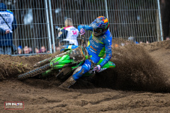 009