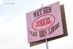 DSC_7925 DSC_7925