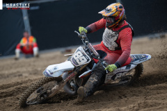 DSC_7959 DSC_7959